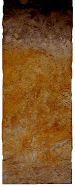 Pseudogley Pseudogley