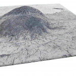 Palmenstümpfe aus dem Tertiär Palmenstümpfe