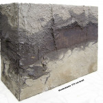 Profil mit pleistozänen Pferdeknochenm Alter etwa 400 000 Jahre Zeugenblock Schöningen